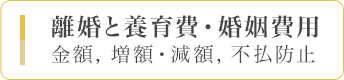 離婚と養育費・婚姻費用